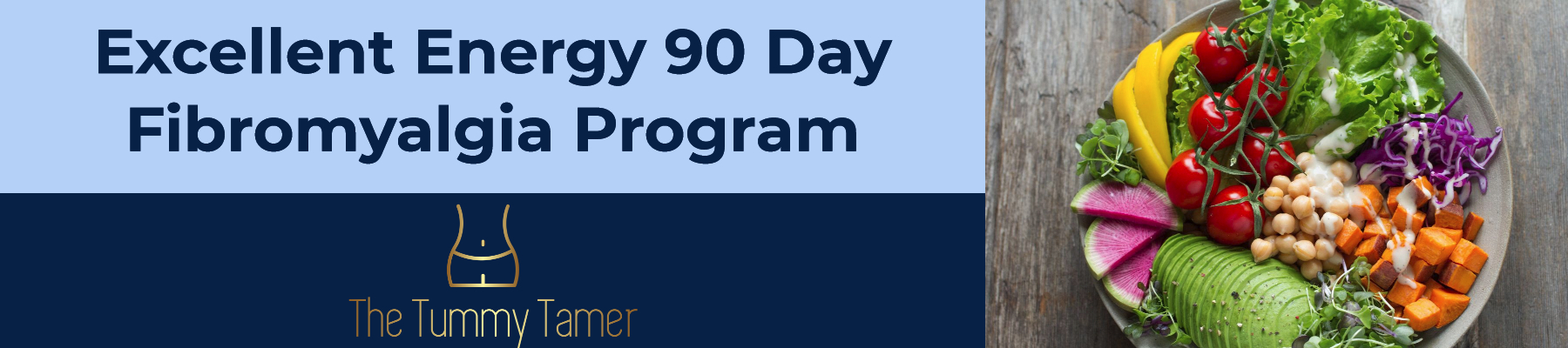 Excellent Energy Fibromyalgia 90 day program banner