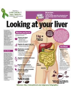 Looking-at-Your-Liver