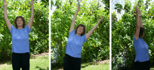 Gallbladder-liver-exercises