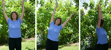 Gallbladder Liver exercises